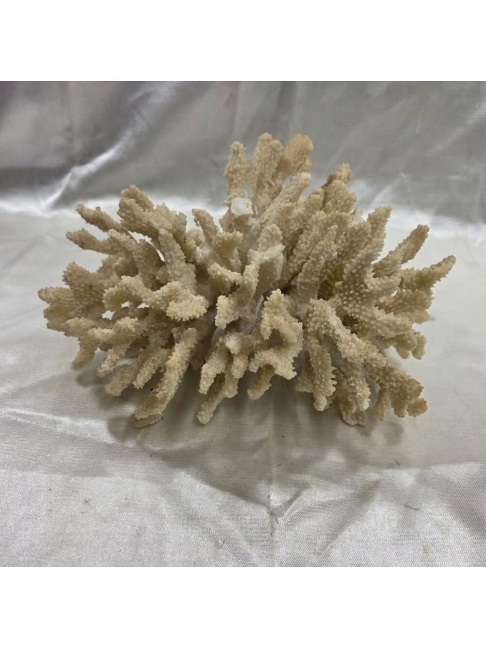 Vintage Natural Coral Aquarium Decor – Large Branching Coral